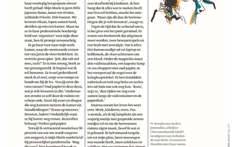 artikel financieel dagblad